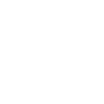 Software Development